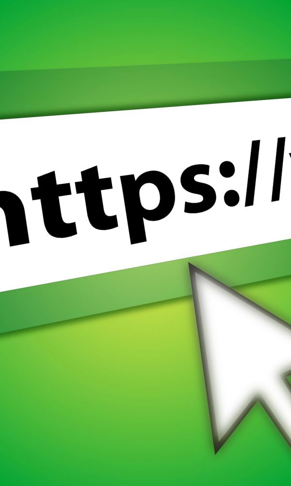 ssl nedir
