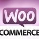 wordpress woocommerce